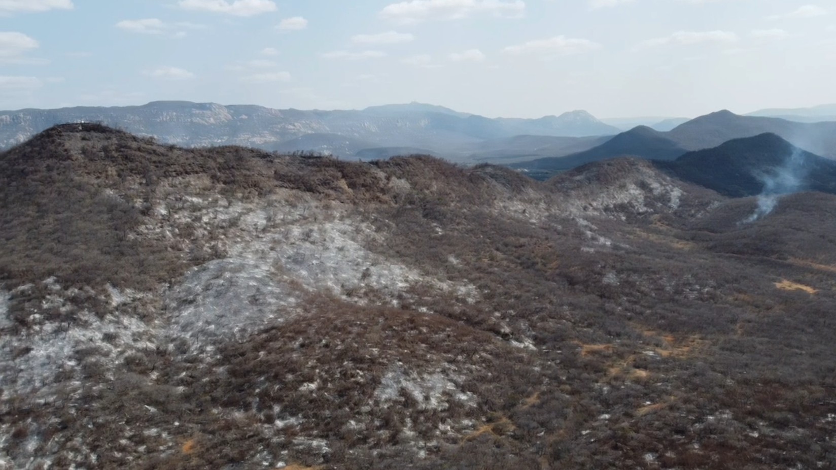 Operação para combater incêndio florestal no Sertão da PB é reforçada com mais bombeiros, aeronave e monitoramento via satélite