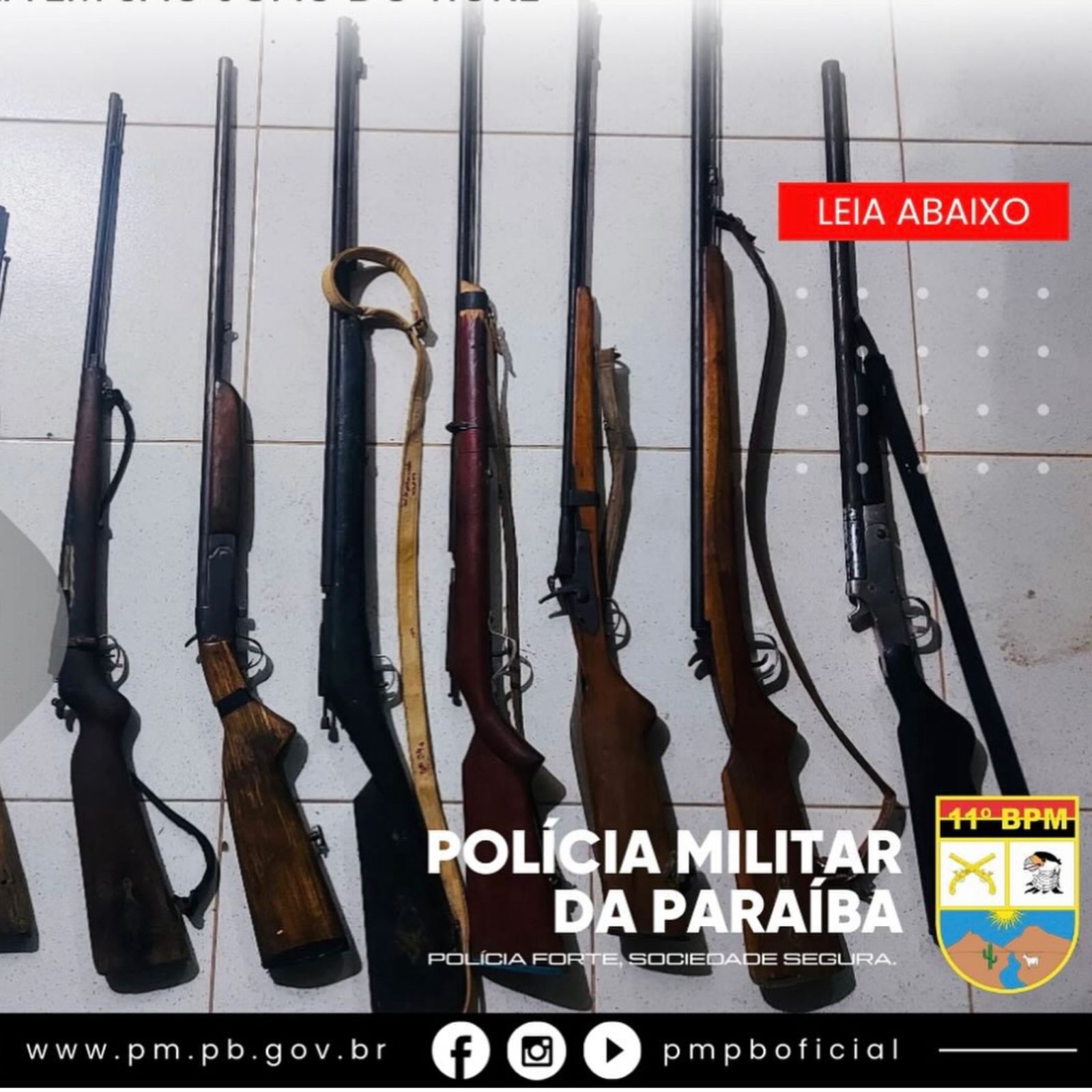 Polícia Militar apreende oito armas de fogo e prende suspeito em São João do Tigre