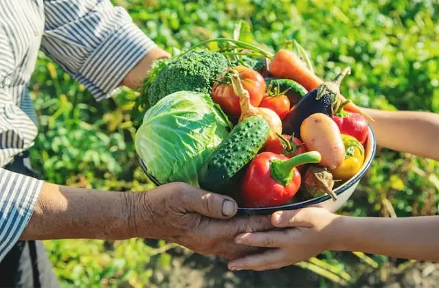 Prefeitura de Assunção abre chamada pública para aquisição de alimentos da agricultura familiar destinados à merenda escolar