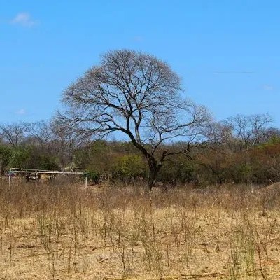 Governo federal reconhece situação de emergência em São João do Tigre e outras três cidades da PB