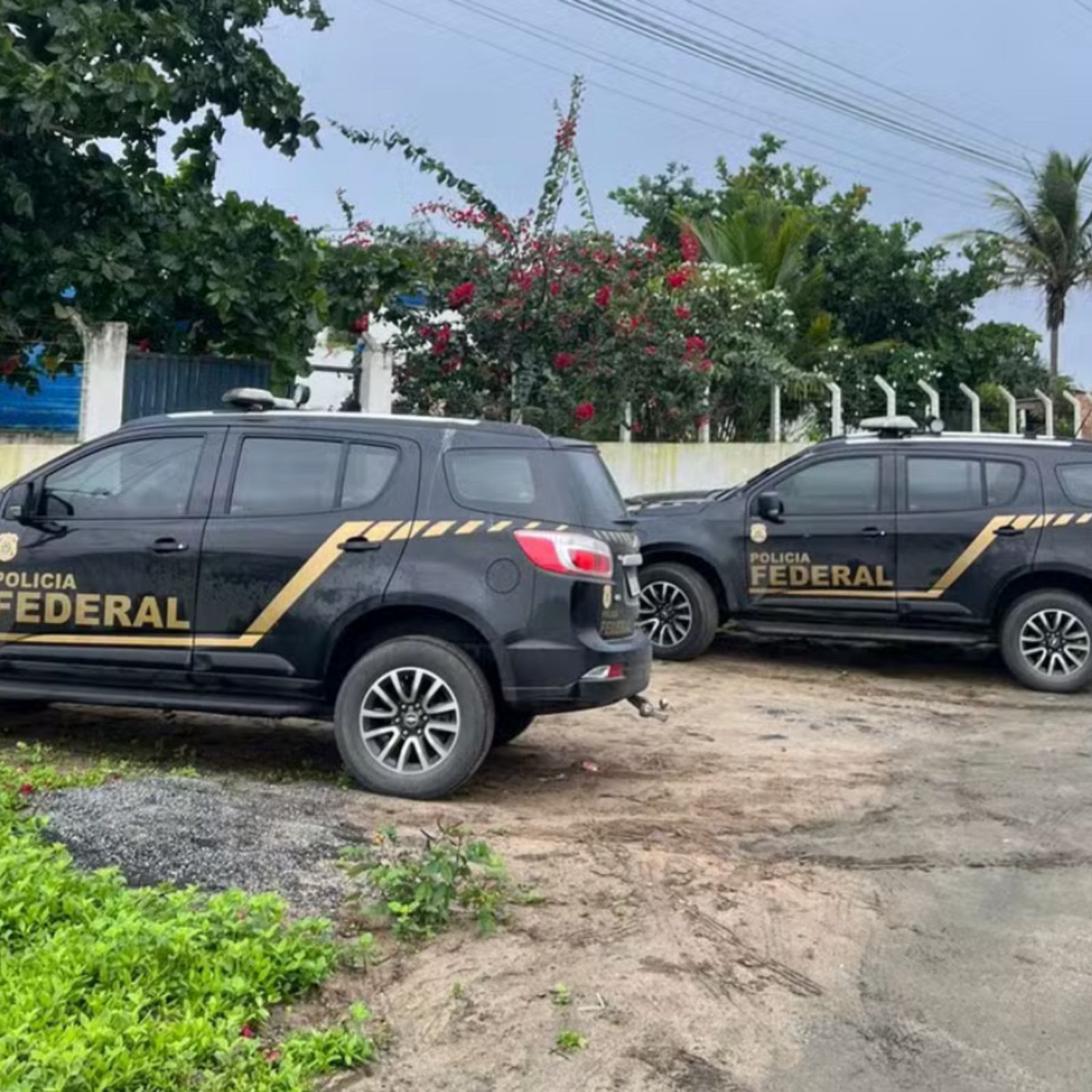 PF investiga suspeito de armazenar conteúdo de abuso sexual infantojuvenil, em Campina Grande
