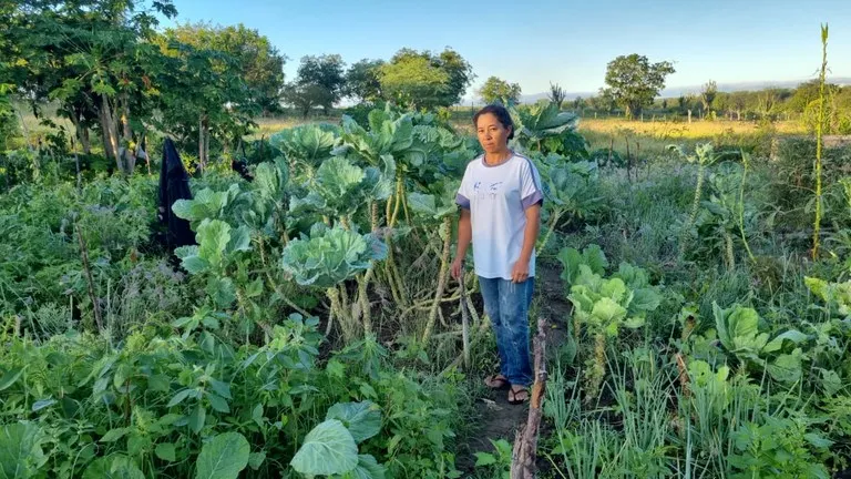 Projetos da Sedap-PB destacam o protagonismo das mulheres do agro em Zabelê